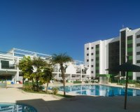 Nuevo - Apartamento - Mil Palmeras