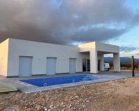Nuevo - Villa - Alicante - Pinoso