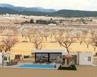 Nuevo - Villa - Alicante - Pinoso