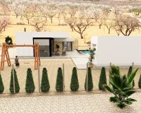 Nuevo - Villa - Alicante - Pinoso