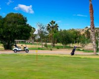 Nuevo - Villa - Ciudad Quesada