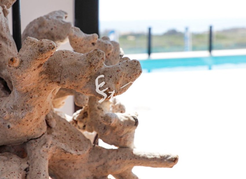 Nuevo - Villa - Guardamar - Guardamar del Segura