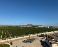 Resale - 1. Apartment / flat - Los Alcazares - Santa Rosalía