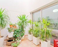 Resale - Adosado - Punta Prima