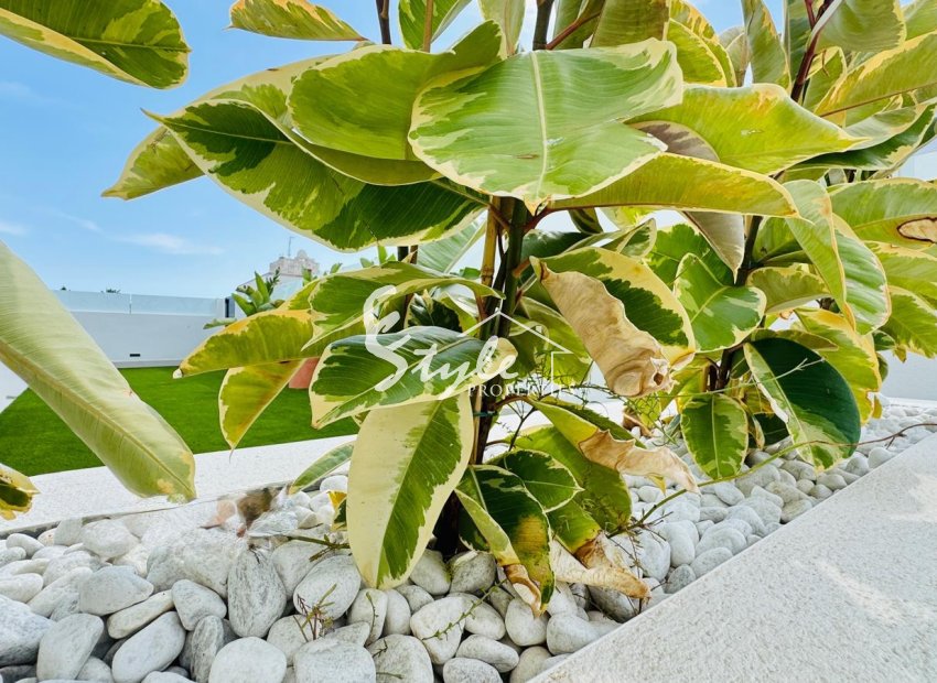 Resale - Adosado - Torrevieja - La Veleta