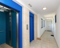 Resale - Apartamento - Campoamor - Dehesa de Campoamor