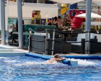 Resale - Apartamento - Punta Prima