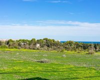 Resale - Apartamento - Punta Prima