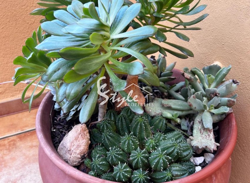 Resale - Apartamento - Punta Prima