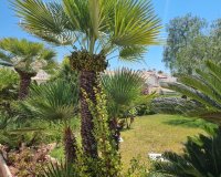 Resale - Apartamento - Torrevieja - Los Balcones