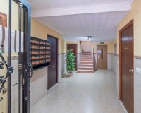 Resale - Apartamento - Torrevieja - Playa del Cura