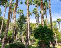 Resale - Apartamento - Torrevieja