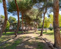 Resale - Apartamento - Torrevieja