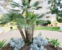 Resale - Apartment - Dehesa de Campoamor