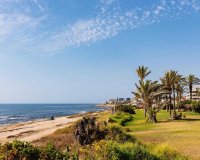 Resale - Apartment - La Veleta