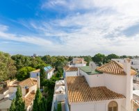 Resale - Apartment - La Zenia - Beach