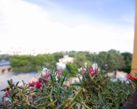 Resale - Apartment - La Zenia - Beach