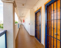 Resale - Apartment - La Zenia