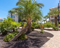 Resale - Apartment - Orihuela Costa  - Los Dolses