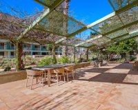 Resale - Apartment Penthouse - Denia - Puerto