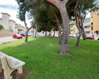 Resale - Apartment Penthouse - Villamartin, Orihuela Costa - Pinada Golf