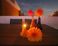 Resale - Apartment - Punta Prima - La Entrada