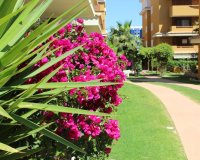 Resale - Apartment - Punta Prima - La Entrada