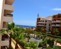 Resale - Apartment - Punta Prima - Parque Recoleta