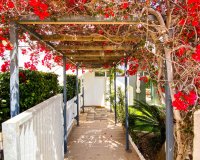 Resale - Apartment - Punta Prima