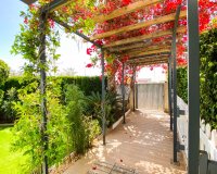 Resale - Apartment - Punta Prima