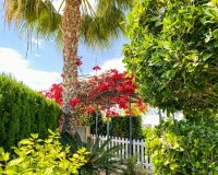 Resale - Apartment - Punta Prima