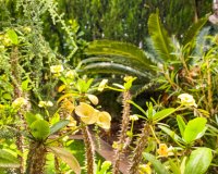 Resale - Apartment - Punta Prima