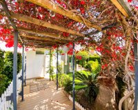 Resale - Apartment - Punta Prima