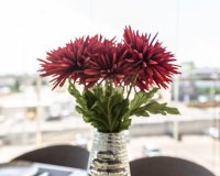 Resale - Apartment - Villamartin, Orihuela Costa - Villamartin