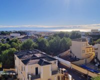 Resale - Apartment - Villamartin