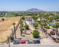 Resale - Finca Country Property - Catral