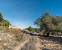 Resale - Finca Country Property - Pilar de la Horadada - Pinar de la Perdiz