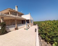 Resale - Finca Country Property - San Miguel De Salinas