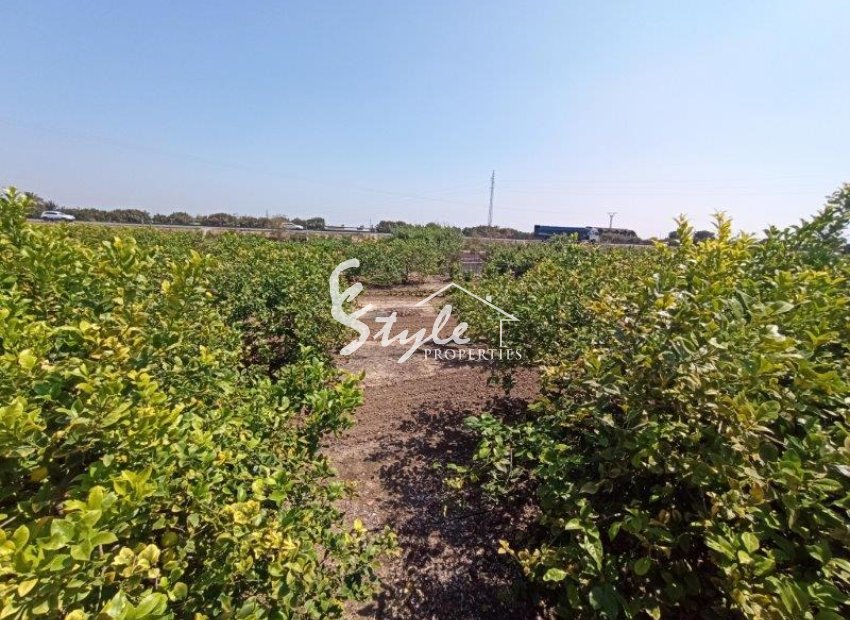 Resale - Finca Country Property - San Miguel De Salinas