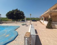 Resale - Finca Country Property - San Miguel De Salinas