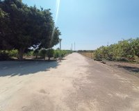 Resale - Finca Country Property - San Miguel De Salinas