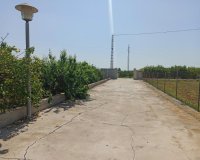 Resale - Finca Country Property - San Miguel De Salinas