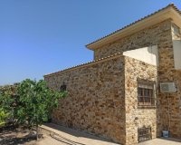 Resale - Finca Country Property - San Miguel De Salinas