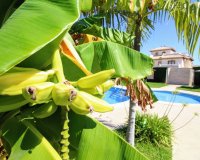 Resale - Quad House - Cabo Roig - Lomas de Cabo Roig