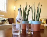 Resale - Quad House - Cabo Roig - Lomas de Cabo Roig