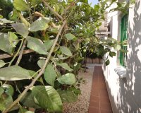 Resale - Quad House - Los Altos