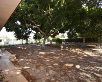 Resale - Villa - Alicante - Callosa De Segura