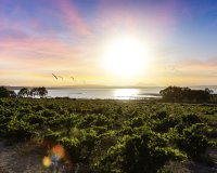 Resale - Villa - Ciudad Quesada - avenida de las Naciones