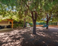 Resale - Villa - Ciudad Quesada - Doña pepa