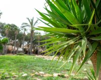 Resale - Villa - Los Altos